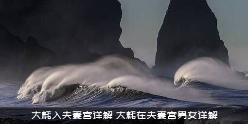 大耗入夫妻宫详解（大耗在夫妻宫男女详解）