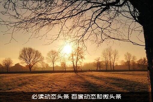 必读动态头条（百度动态和微头条）