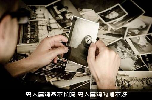 男人属鸡命不长吗？男人属鸡为啥不好？