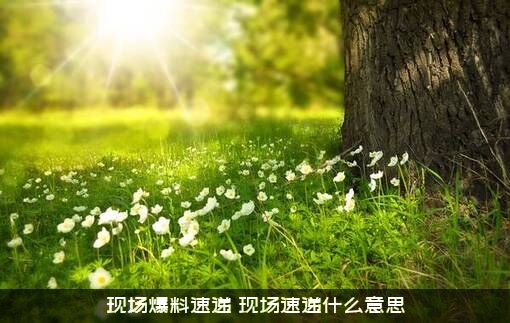 现场爆料速递（现场速递什么意思）
