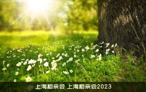 上海相亲会（上海相亲会2023）