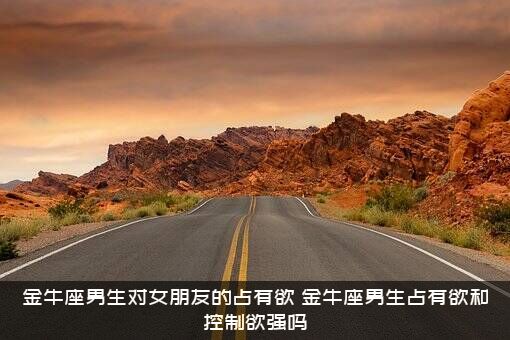 金牛座男生对女朋友的占有欲（金牛座男生占有欲和控制欲强吗）