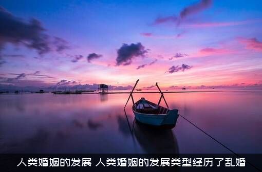 人类婚姻的发展（人类婚姻的发展类型经历了乱婚）