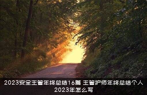 2023安全主管年终总结16篇（主管护师年终总结个人2023年怎么写）