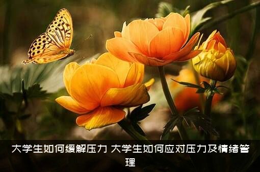 大学生如何缓解压力？大学生如何应对压力及情绪管理？