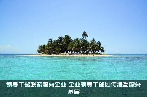 领导干部联系服务企业（企业领导干部如何提高服务基层）