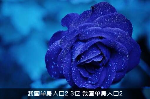 我国单身人口2，3亿，我国单身人口2