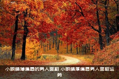 小眼睛薄嘴唇的男人面相（小眼睛厚嘴唇男人面相运势）