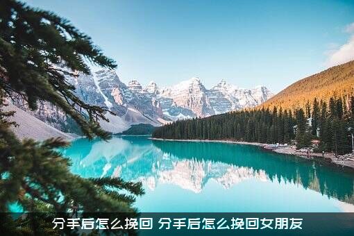 分手后怎么挽回（分手后怎么挽回女朋友）