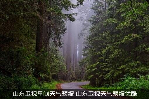 山东卫视早间天气预报（山东卫视天气预报优酷）