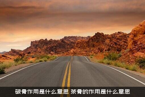 破骨作用是什么意思？茶骨的作用是什么意思？
