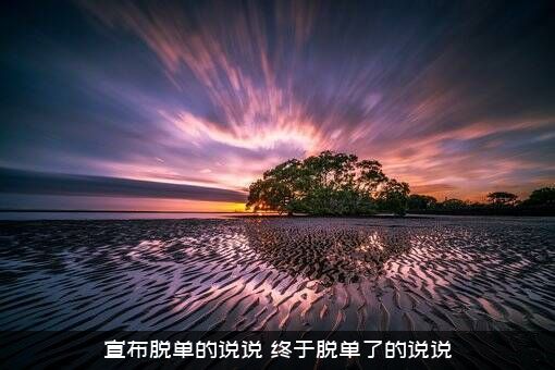 宣布脱单的说说（终于脱单了的说说）