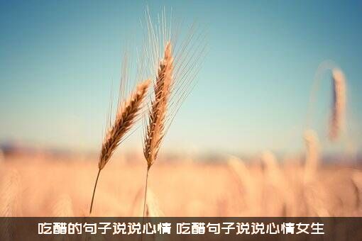 吃醋的句子说说心情（吃醋句子说说心情女生）