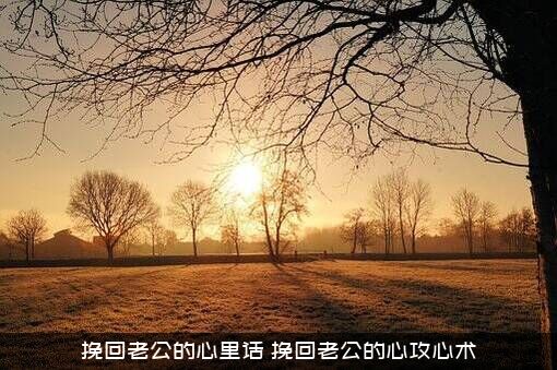 挽回老公的心里话（挽回老公的心攻心术）