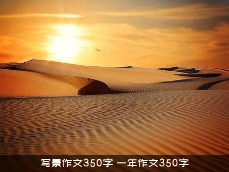 写景作文350字（一年作文350字）