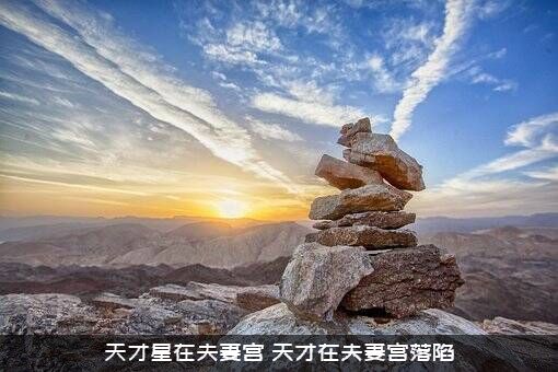 天才星在夫妻宫（天才在夫妻宫落陷）