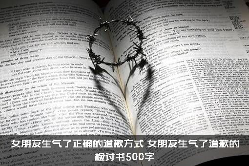 女朋友生气了正确的道歉方式（女朋友生气了道歉的检讨书500字）