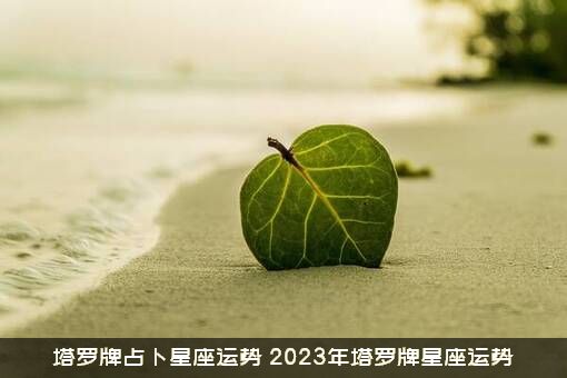 塔罗牌占卜星座运势（2023年塔罗牌星座运势）