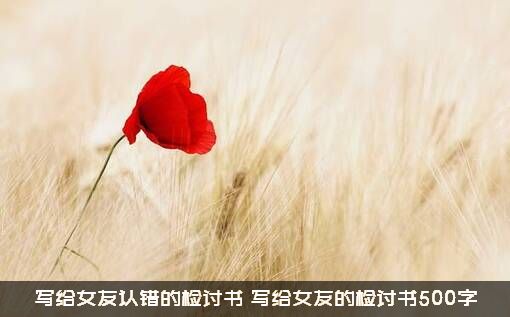 写给女友认错的检讨书（写给女友的检讨书500字）