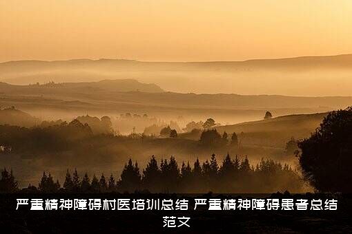 严重精神障碍村医培训总结（严重精神障碍患者总结范文）