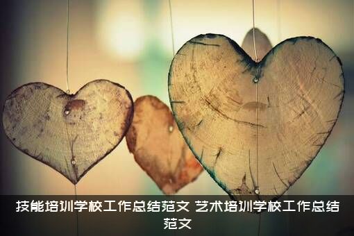 技能培训学校工作总结范文（艺术培训学校工作总结范文）