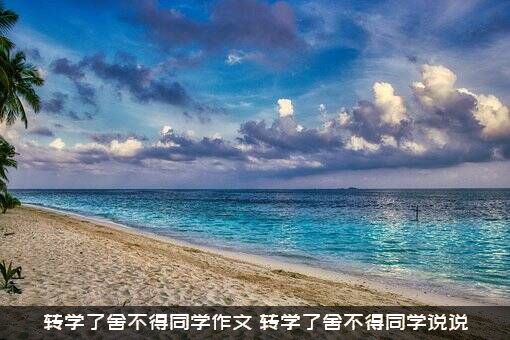 转学了舍不得同学作文？转学了舍不得同学说说？
