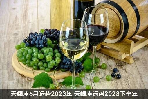 天蝎座6月运势2023年（天蝎座运势2023下半年）