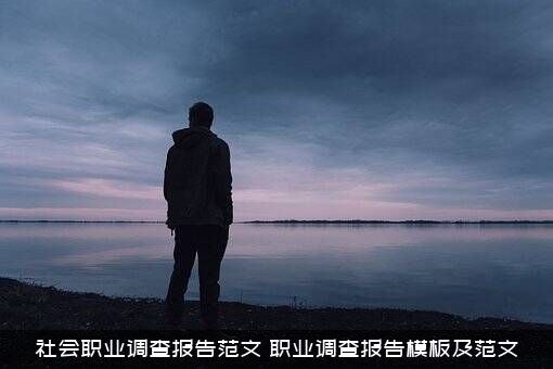 社会职业调查报告范文（职业调查报告模板及范文）