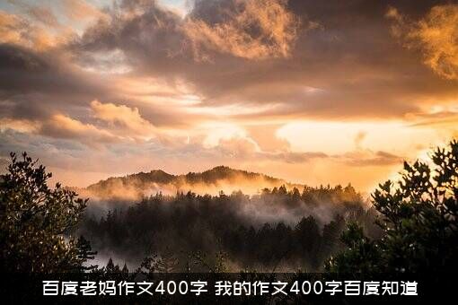 百度老妈作文400字（我的作文400字百度知道）