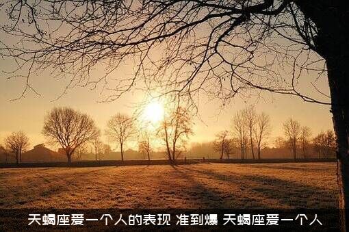 天蝎座爱一个人的表现，准到爆，天蝎座爱一个人