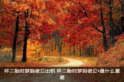 怀二胎时梦到老公出轨（怀二胎时梦到老公*是什么意思）