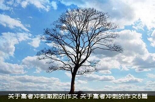 关于高考冲刺激励的作文（关于高考冲刺的作文8篇）