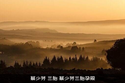 蔡少芬，三胎，蔡少芬三胎孕照