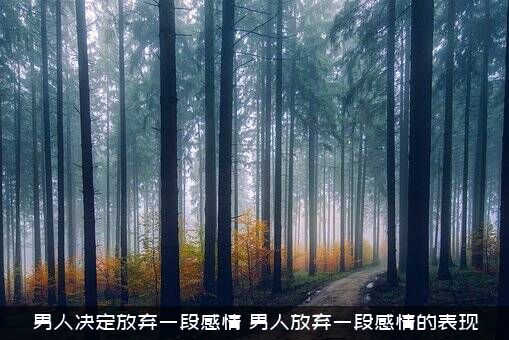 男人决定放弃一段感情（男人放弃一段感情的表现）