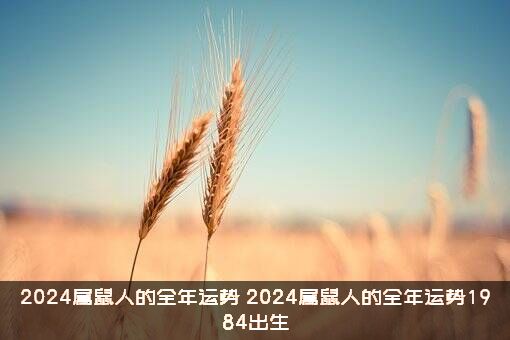 2024属鼠人的全年运势（2024属鼠人的全年运势1984出生）