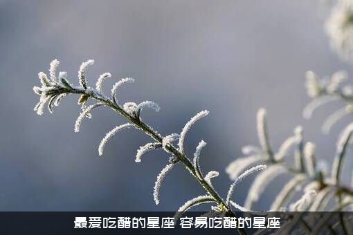 最爱吃醋的星座（容易吃醋的星座）