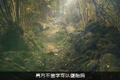 男方不签字可以堕胎吗