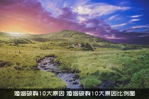 婚姻破裂10大原因（婚姻破裂10大原因比例图）