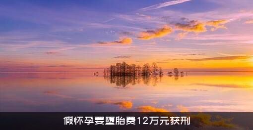 假怀孕要堕胎费12万元获刑