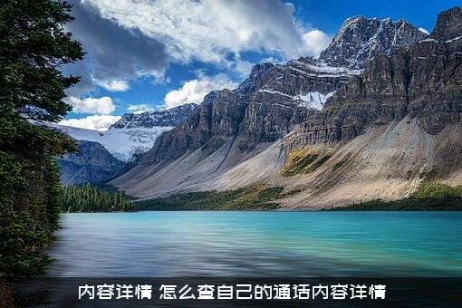 内容详情（怎么查自己的通话内容详情）