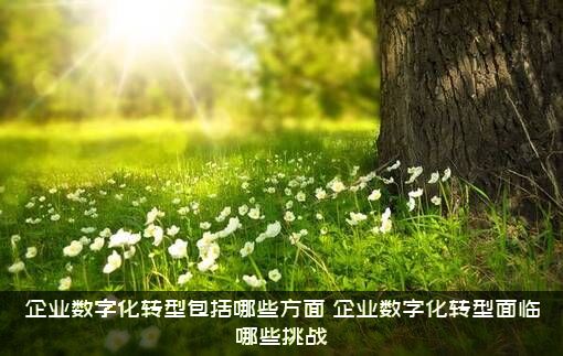 企业数字化转型包括哪些方面？企业数字化转型面临哪些挑战？