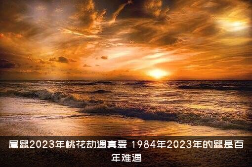 属鼠2023年桃花劫遇真爱（1984年2023年的鼠是百年难遇）