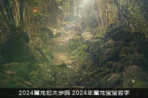 2024属龙犯太岁吗（2024年属龙宝宝名字）