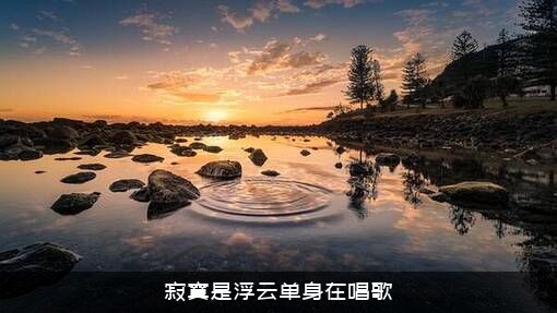 寂寞是浮云单身在唱歌