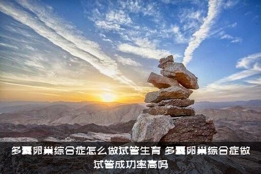 多囊卵巢综合症怎么做试管生育（多囊卵巢综合症做试管成功率高吗）