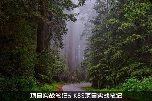 项目实战笔记5（K8S项目实战笔记）