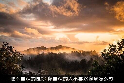 他不喜欢的是你（你喜欢的人不喜欢你该怎么办）