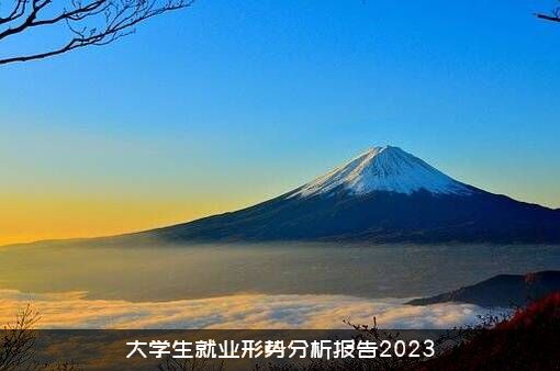 大学生就业形势分析报告2023