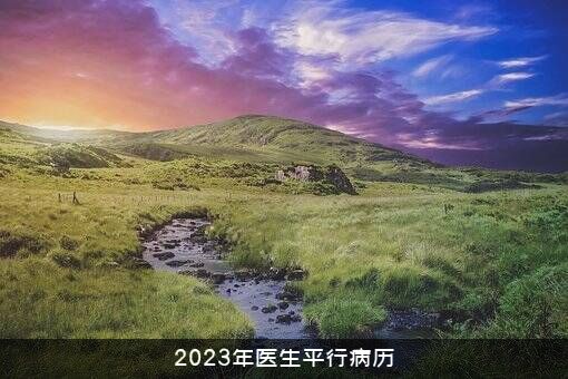 2023年医生平行病历