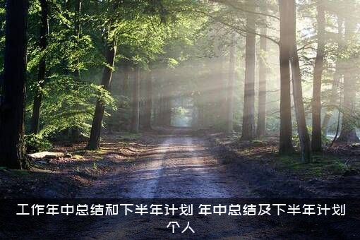 工作年中总结和下半年计划（年中总结及下半年计划个人）